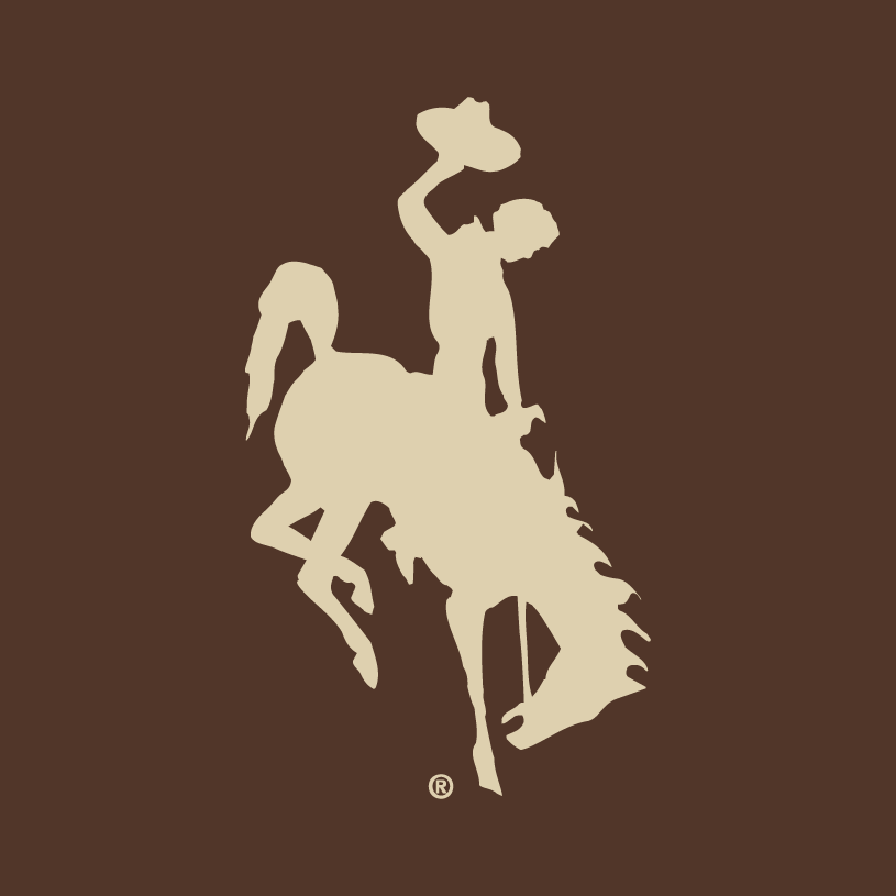 Wyoming Cowboys 2006-2012 Alternate Logo v2 iron on transfers for clothing